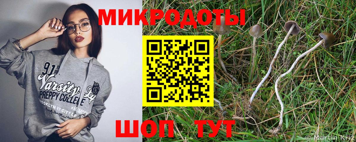 Россия  Галлюциногенные грибы GOLDEN TEACHER  Вход с VPN  Псилоцибиновые грибы Psilocybine cubensis 